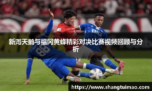 新泻天鹅与福冈黄蜂精彩对决比赛视频回顾与分析